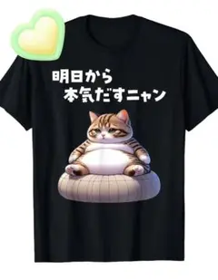 猫イラスト Tシャツ 黒 半袖3XL