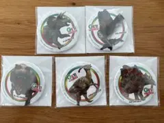 集める図鑑GET！恐竜 缶バッジ5種セット