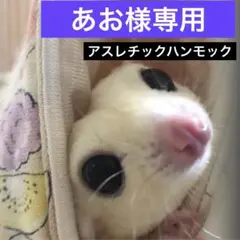 Item thumbnail for item ef815137-ebda-4773-b375-15ef695b5f37