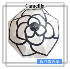 Item thumbnail for item 7e85c889-0aab-417e-b0af-0fe016ba7a02