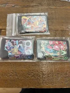 フレンダ　リザードンY カメックス　フシギバナ