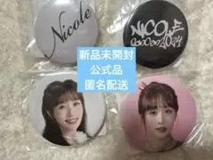 Nicole 缶バッジ KARASIA 2025 ニコル KARA ランダムトイ