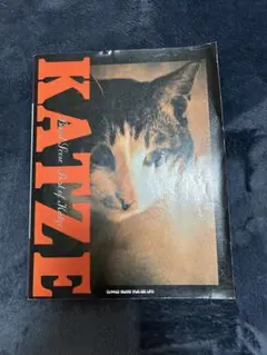 2025年最新】KATZE スコアの人気アイテム - メルカリ