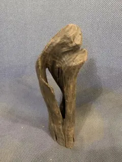 Item thumbnail for item a17dd6bb-1db9-45fa-a9aa-7625a8164f43