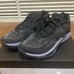 NIKE AIR ZOOM G.T CUT 2 zoom gt cut2