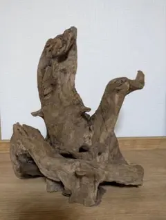 流木