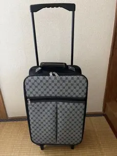 キャリーバック