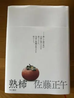 熟柿 佐藤正午