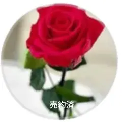 【美品】EMBAヴィンテージミンク11号毛皮コート