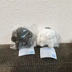 じょせまる ガチャ セット