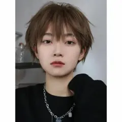 フルウィッグ　wig かつら　コスプレ　612メンズショート　伸縮性　男装