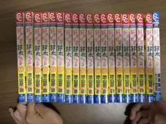 【最終値下げ】好きです鈴木くん‼︎全18巻+小説1冊付き 池山田剛 少女漫画
