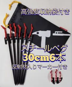 スチールペグ 30cm6本 マーカー 収納袋 セット 強靭