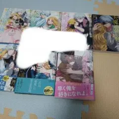 家から逃げ出したい私が、うっかり憧れの大魔法使い様を買ってしまったら 全巻