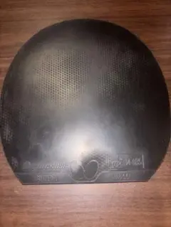ディグニクス09c