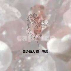 赤の他人（オーダー停止中）様　専用