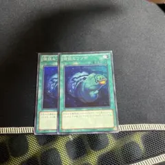 魔法なウツボ 2枚セット