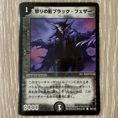 ブラックフェザー　1枚