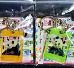 アドベンチャーワールド パンダ ランダムアクリルキーホルダー 幸浜 雄浜