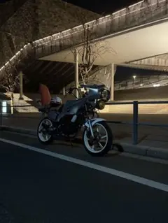 ns1 羽根テール 希少 絶版品 ホンダ ns1 用 羽テール カウル NS1
