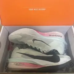 Item thumbnail for item 633c61fe-263a-43ee-ad52-76b5439a1bcc