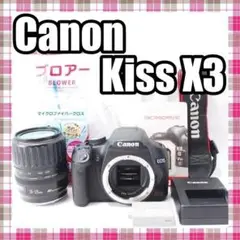 Item thumbnail for item 05c08b70-7d7c-48ad-892d-602377e40799