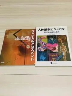 本　人体解剖ビジュアル フィジカルアセスメント　看護　トレーナー　医学　筋トレ
