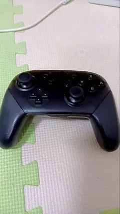 純正プロコンswitch