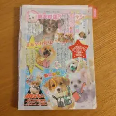 Item thumbnail for item 844d181b-fc83-4187-8d9c-34e834cc3ac1