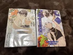 用心棒と逃げた花嫁