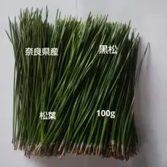 松の葉 黒松 無農薬