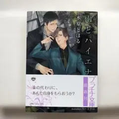 雨とハイエナ
