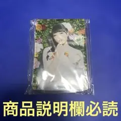 Item thumbnail for item 33dd5b4d-d984-4d45-ac4f-548d489500b8