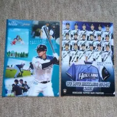 大谷翔平選手 北海道日本ハムファイターズ 非売品クリアファイル