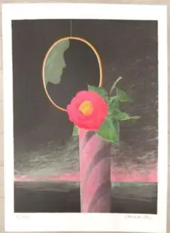 芸術版画 ピエールガルシャフォンス 幾何学の果実1 7/170
