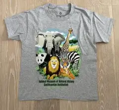 スミソニアン博物館「Animals」Tシャツ 110