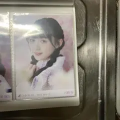 川崎桜 2023年7月写真