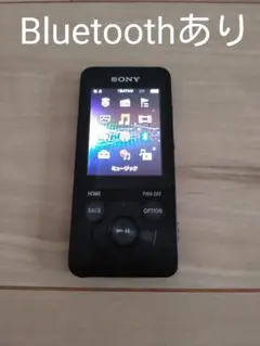 SONY ソニー ウォークマン NW-S13