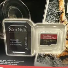 SanDisk Extreme PRO microSDXC 256GB