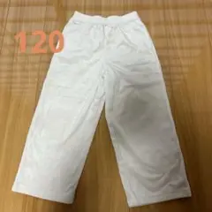 Item thumbnail for item 1257671d-dd6e-492d-872b-3e81b8b73183