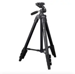 Item thumbnail for item e849f90d-17b7-4a44-9ae2-61d069c9e512