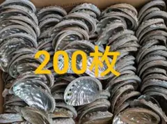 アワビ貝殻 200枚セット•*¨*•.¸♬︎