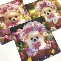 ハンドメイド　ガーゼハンカチ　ポメラニアン柄3枚セット 46