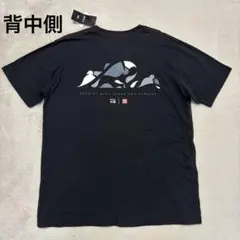 ★新品、未使用★ ルーカ RVCA アーティスト Tシャツ カットソー 黒 XL