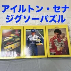 2025年最新】パズル セナ アイルトンの人気アイテム - メルカリ