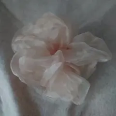 ベージュ シフォンシュシュ