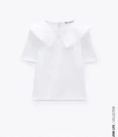 Item thumbnail for item 2a2001b5-8c39-42fa-b25a-c7aacd9237fd