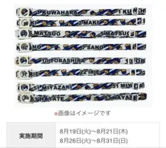 ベイスターズ　入江大生　最新ノベルティ ペットボトルストラップ　非売品