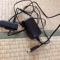 7月限定価格　Nalin ACアダプター NLD200120W1
