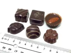 【食品サンプル】Mary's コージーコーナー　チョコレート6個セット Bセット